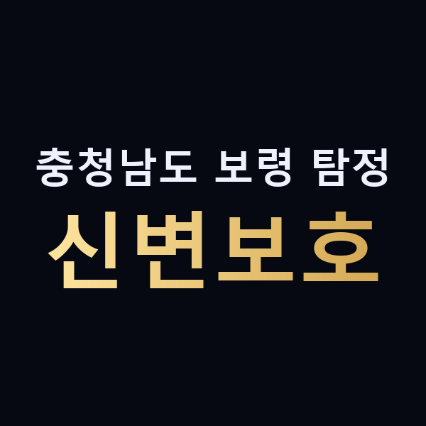 충청남도 보령 탐정 신변보호 맥가이버
