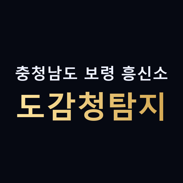 충청남도 보령 흥신소 도감청탐지 맥가이버