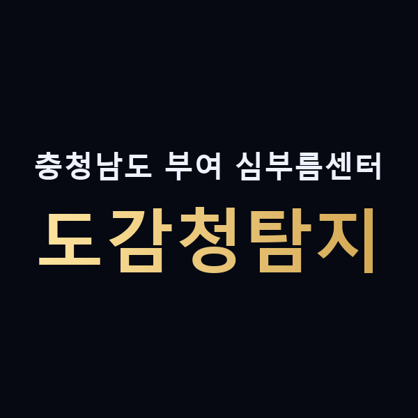 충청남도 부여 심부름센터 도감청탐지 맥가이버