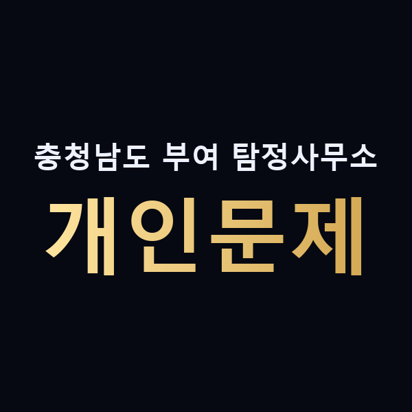충청남도 부여 탐정사무소 개인문제 맥가이버