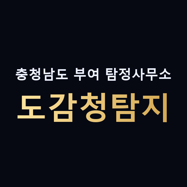 충청남도 부여 탐정사무소 도감청탐지 맥가이버