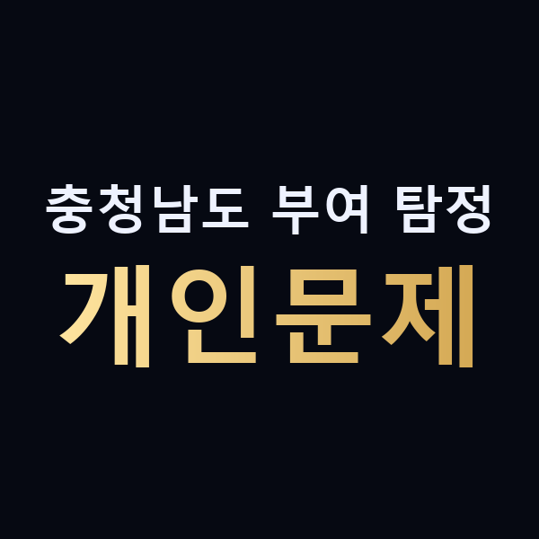 충청남도 부여 탐정 개인문제 맥가이버