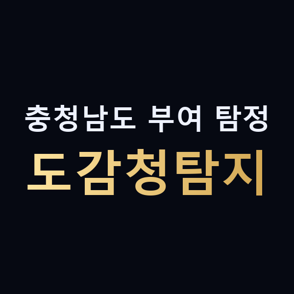 충청남도 부여 탐정 도감청탐지 맥가이버