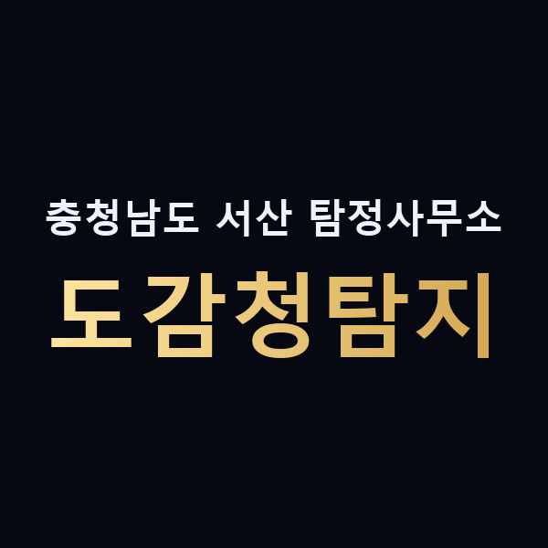 충청남도 서산 탐정사무소 도감청탐지 맥가이버