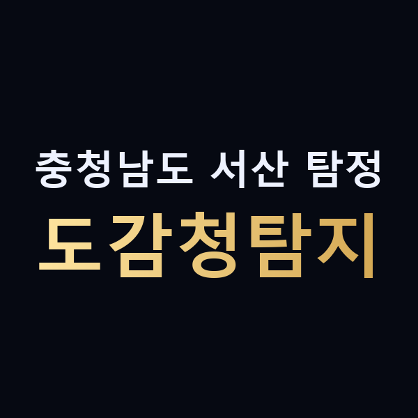 충청남도 서산 탐정 도감청탐지 맥가이버