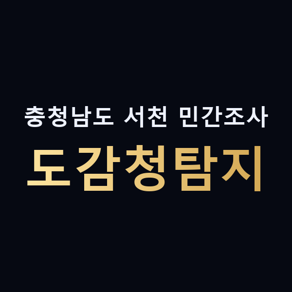 충청남도 서천 민간조사 도감청탐지 맥가이버