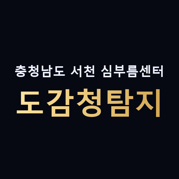 충청남도 서천 심부름센터 도감청탐지 맥가이버