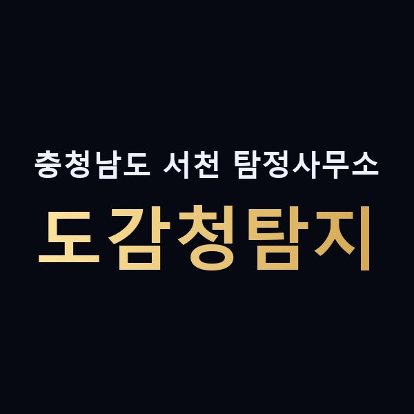 충청남도 서천 탐정사무소 도감청탐지 맥가이버
