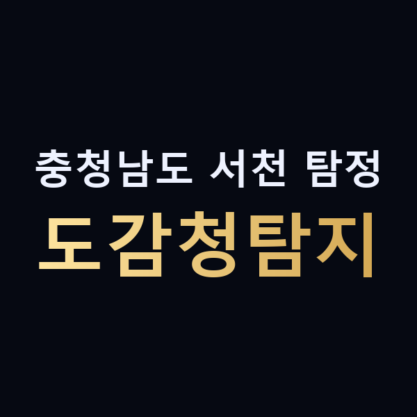 충청남도 서천 탐정 도감청탐지 맥가이버