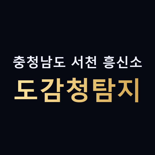충청남도 서천 흥신소 도감청탐지 맥가이버