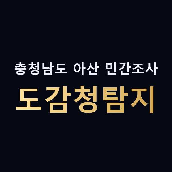 충청남도 아산 민간조사 도감청탐지 맥가이버