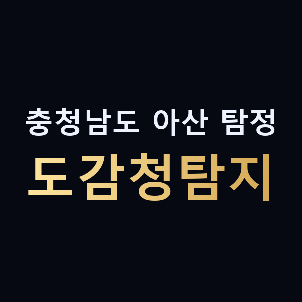 충청남도 아산 탐정 도감청탐지 맥가이버