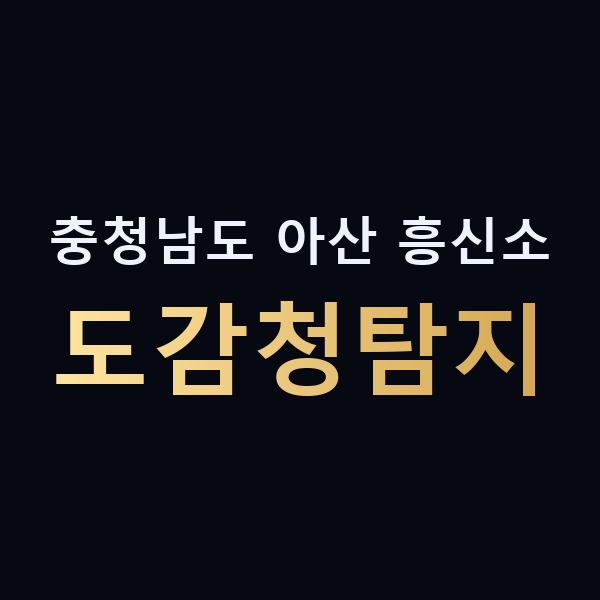 충청남도 아산 흥신소 도감청탐지 맥가이버