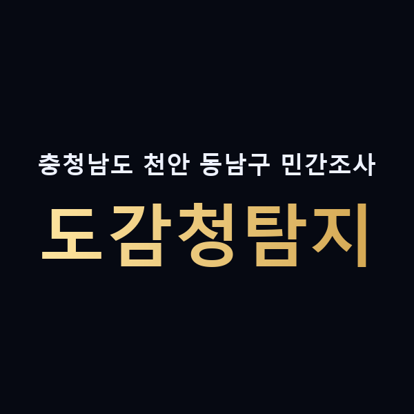 충청남도 천안 동남구 민간조사 도감청탐지 맥가이버