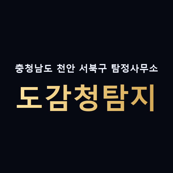 충청남도 천안 서북구 탐정사무소 도감청탐지 맥가이버