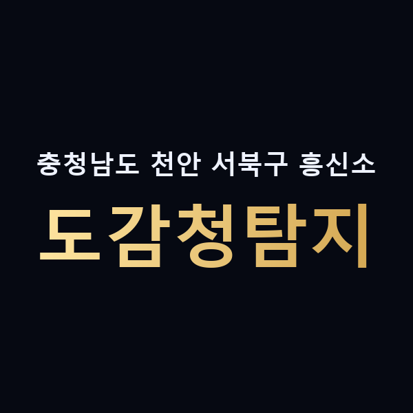 충청남도 천안 서북구 흥신소 도감청탐지 맥가이버