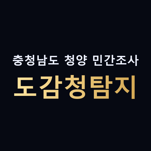 충청남도 청양 민간조사 도감청탐지 맥가이버