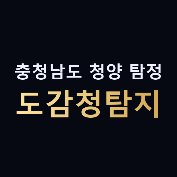 충청남도 청양 탐정 도감청탐지 맥가이버
