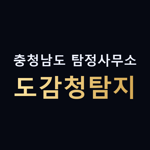 충청남도 탐정사무소 도감청탐지 맥가이버