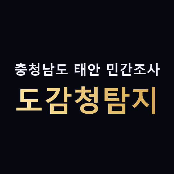 충청남도 태안 민간조사 도감청탐지 맥가이버