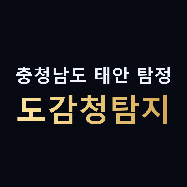 충청남도 태안 탐정 도감청탐지 맥가이버