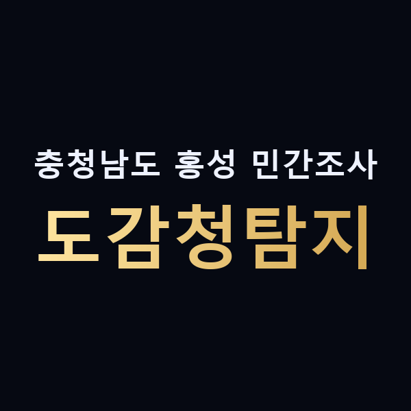 충청남도 홍성 민간조사 도감청탐지 맥가이버