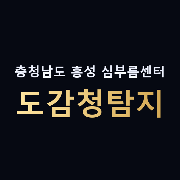 충청남도 홍성 심부름센터 도감청탐지 맥가이버