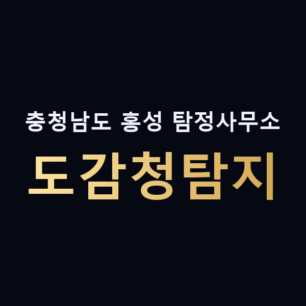 충청남도 홍성 탐정사무소 도감청탐지 맥가이버