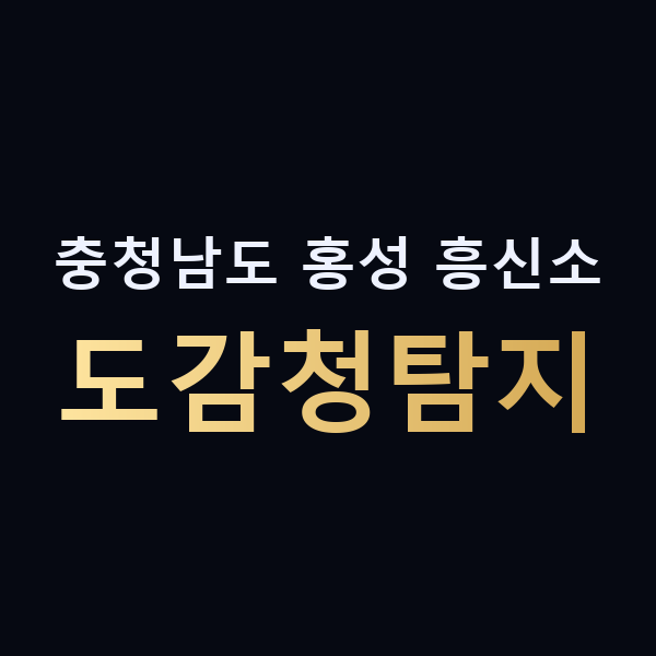 충청남도 홍성 흥신소 도감청탐지 맥가이버