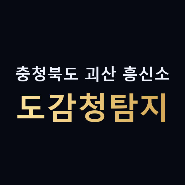 충청북도 괴산 흥신소 도감청탐지 맥가이버