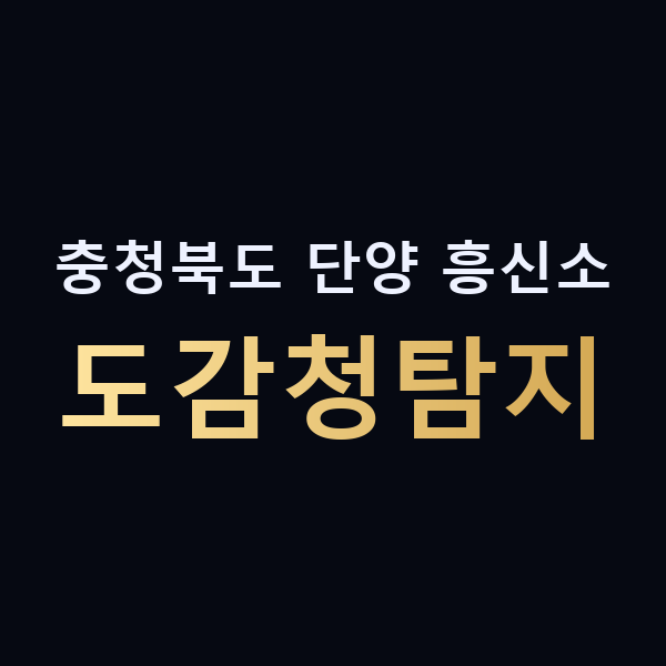 충청북도 단양 흥신소 도감청탐지 맥가이버