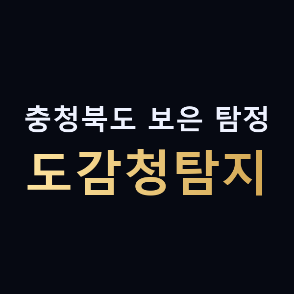 충청북도 보은 탐정 도감청탐지 맥가이버