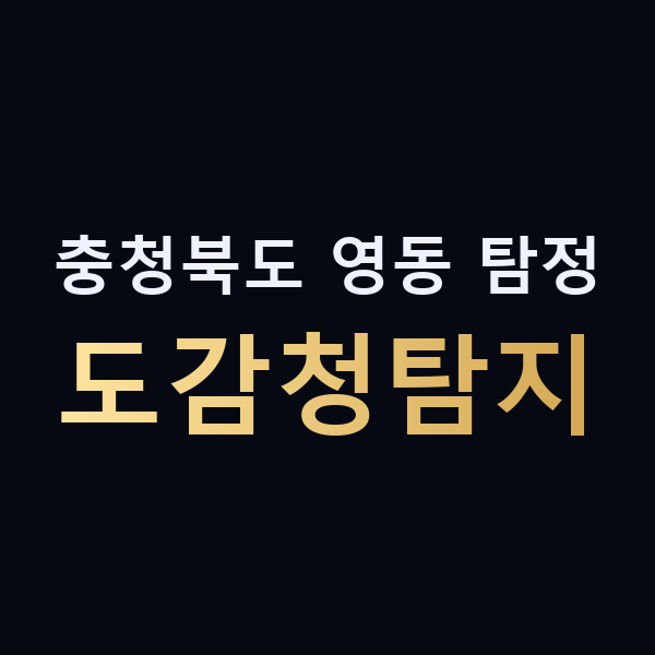충청북도 영동 탐정 도감청탐지 맥가이버