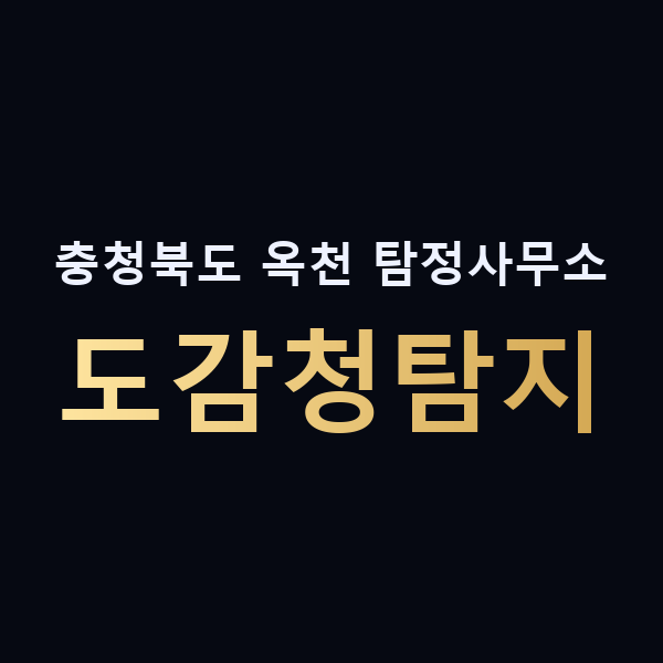 충청북도 옥천 탐정사무소 도감청탐지 맥가이버