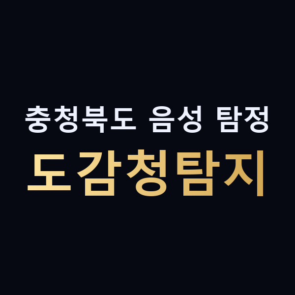 충청북도 음성 탐정 도감청탐지 맥가이버