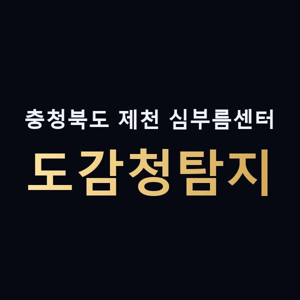 충청북도 제천 심부름센터 도감청탐지 맥가이버