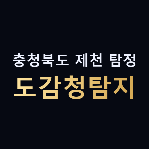 충청북도 제천 탐정 도감청탐지 맥가이버