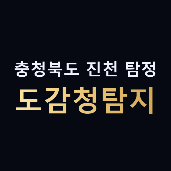 충청북도 진천 탐정 도감청탐지 맥가이버