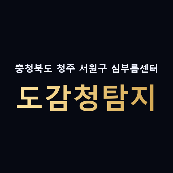 충청북도 청주 서원구 심부름센터 도감청탐지 맥가이버