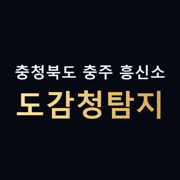 충청북도 충주 흥신소 도감청탐지 맥가이버